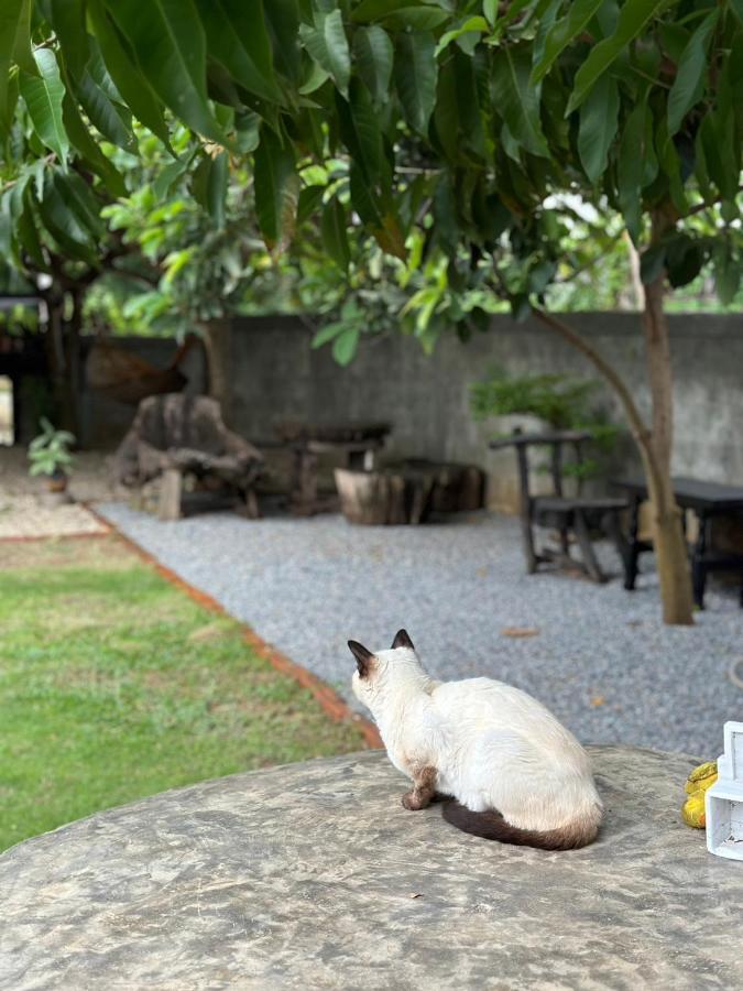 The Legend Homestay. Mae Ai Eksteriør bilde